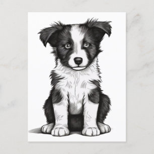 Gräns Collie Sheepdog Australian Shephard Puppy Vykort