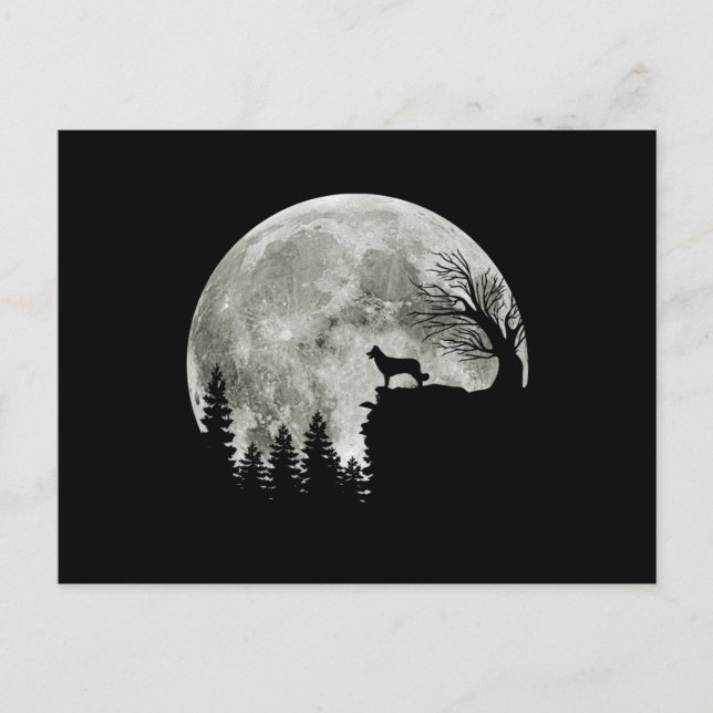 Gräns Collie silhouette på Mountain Halloween Hund Vykort (Framsida)