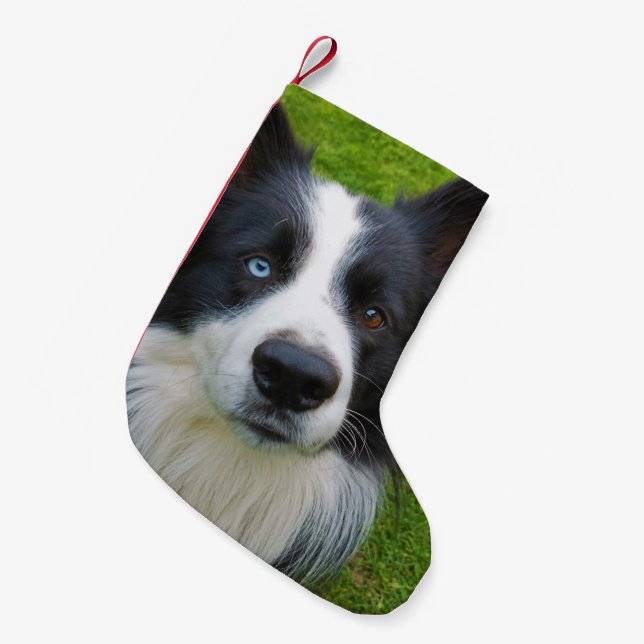 Gräns Collie Small Jul Stock Liten Julstrumpa (Framsidan (Hängande))