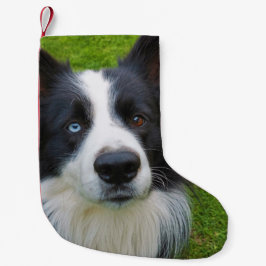Gräns Collie Small Jul Stock Liten Julstrumpa