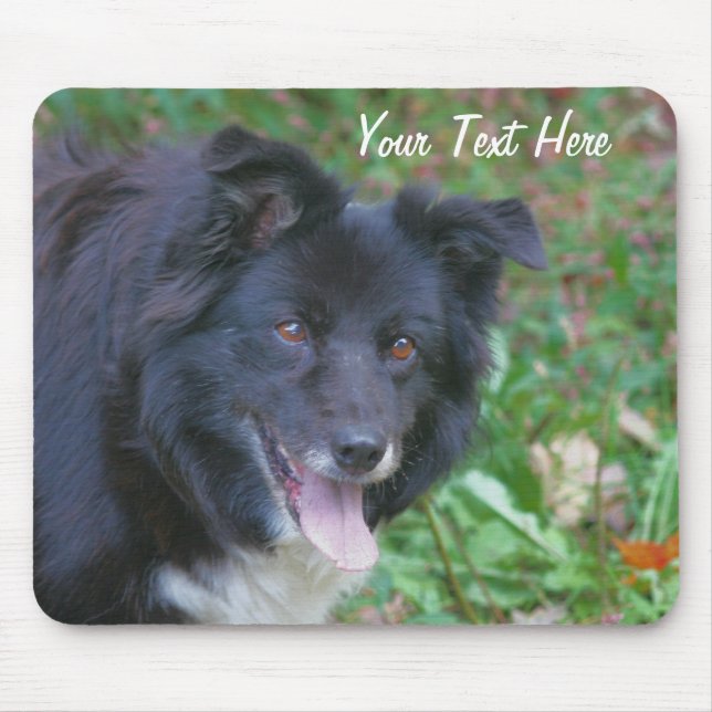 Gräns Collie Smiling cut Hund Mousepad Musmatta (Framsidan)