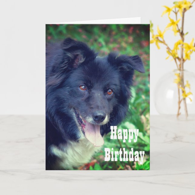 Gräns Collie Smiling Cute Birthday Card Kort (Gul blomma)