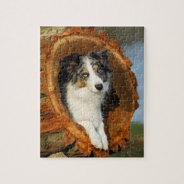 Gräns Collie söt hund Pussel (Vertikal)