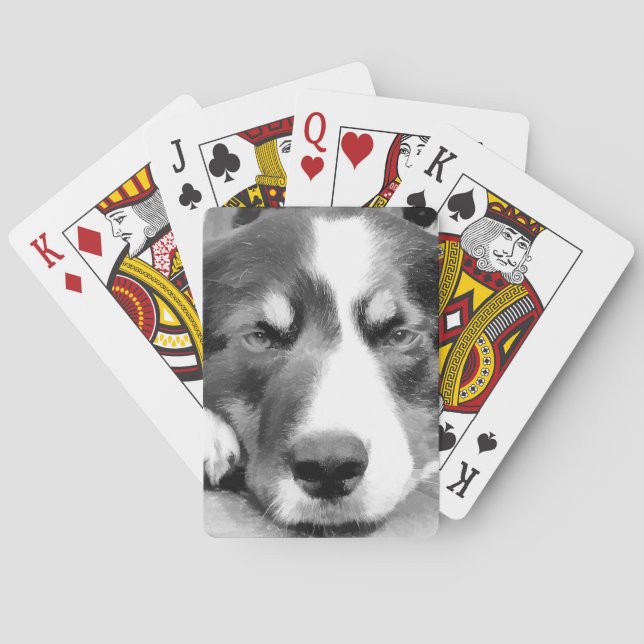 GRÄNS COLLIE SPEL KORT (Baksidan)