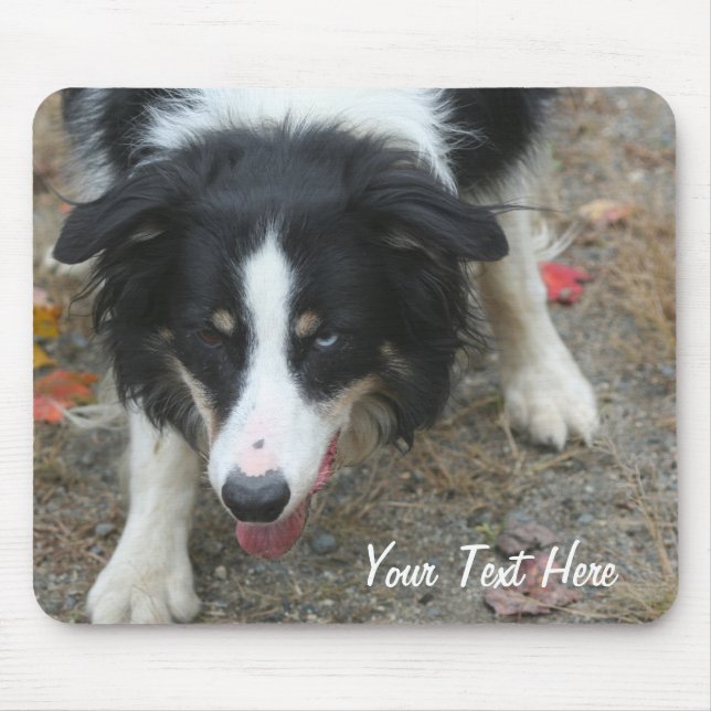 Gräns Collie Stare Hund Mousepad Musmatta (Framsidan)