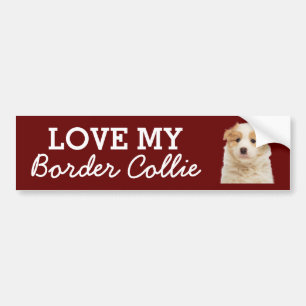 Gräns Collie-stötfångare Bildekal