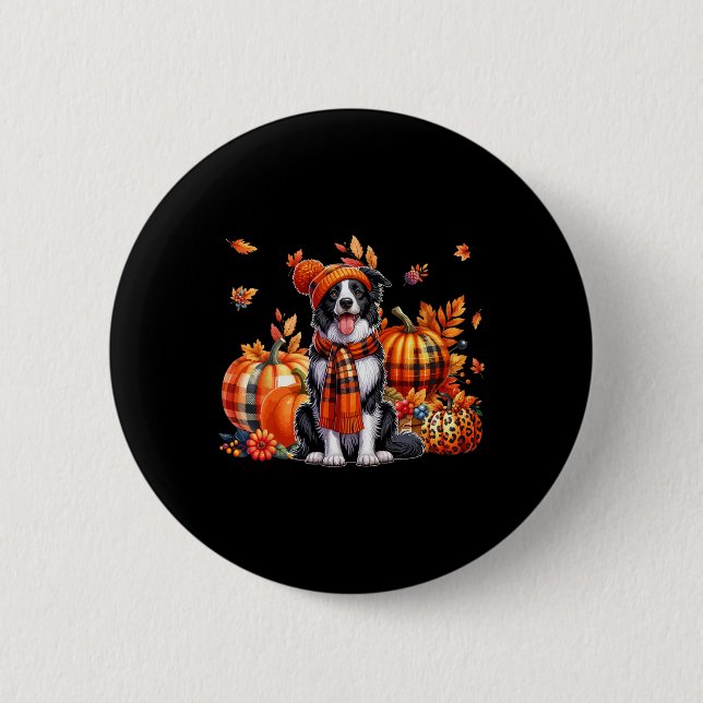 Gräns Collie Thanksgiving Leopard Pumpkins Fall L Knapp (Framsida)