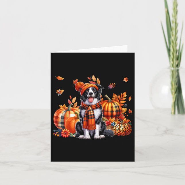 Gräns Collie Thanksgiving Leopard Pumpkins Fall L Kort (Framsida)