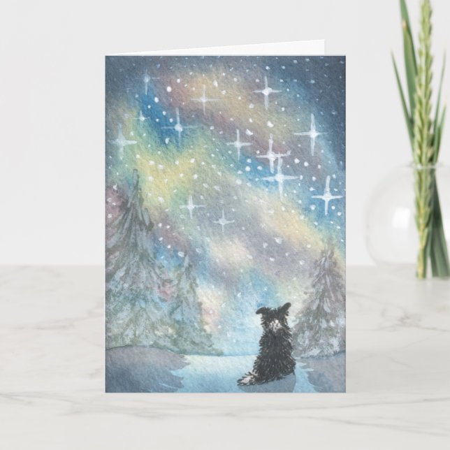 Gräns Collie tittar på Starry Himmel, Helgdagar CA Helgkort (Framsida)
