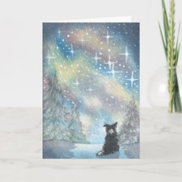 Gräns Collie tittar på Starry Himmel, Helgdagar CA Helgkort