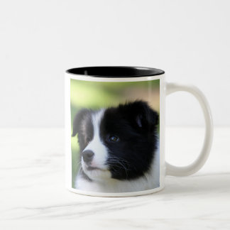 Gräns Collie Två-Tonad Mugg