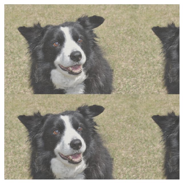 Gräns collie tyg (Närbild)