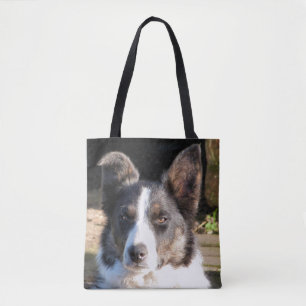 GRÄNS COLLIE TYGKASSE