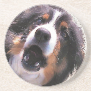 GRÄNS COLLIE UNDERLÄGG