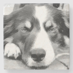 GRÄNS COLLIE UNDERLÄGG STEN