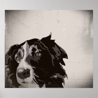 Gräns Collie urban no. 1 art poster