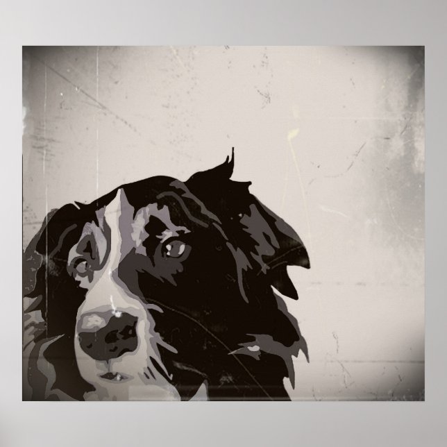 Gräns Collie urban no. 1 art poster (Framsidan)