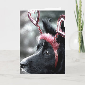 Gräns Collie Valentine Card Helgkort