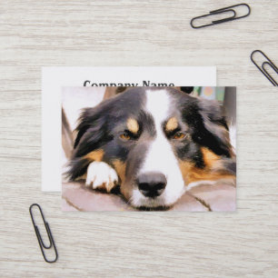GRÄNS COLLIE VISITKORT