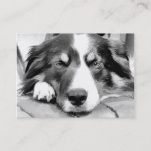 GRÄNS COLLIE VISITKORT