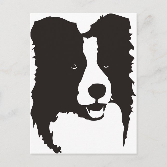 Gräns Collie Vykort (Framsida)