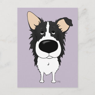 Gräns Collie vykort