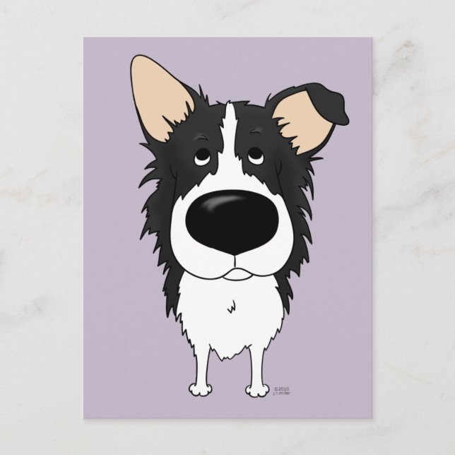 Gräns Collie vykort (Framsida)