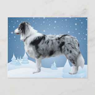 Gräns Collie-vykort~Jul Helg Vykort