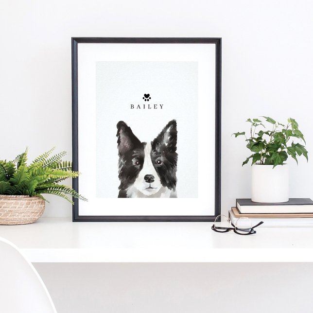 Gräns Collie Watercolor Illustration Hund's Namn Poster (Skapare uppladdad)