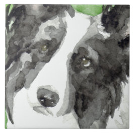 Gräns Collie Watercolor Kakelplatta
