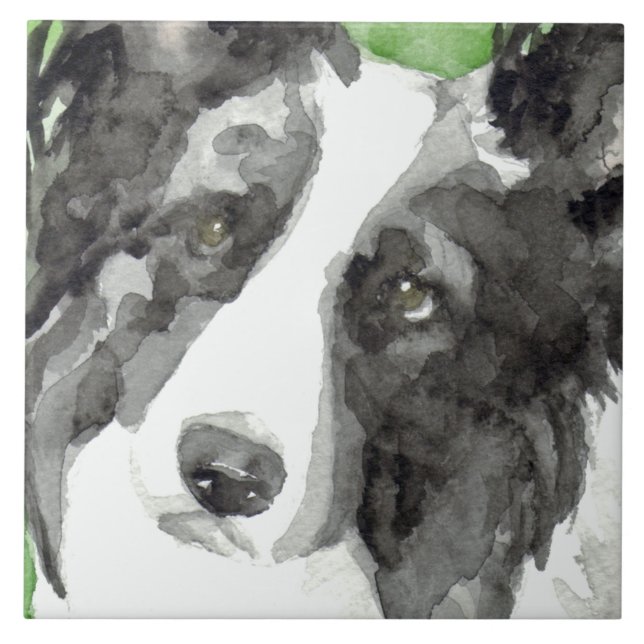 Gräns Collie Watercolor Kakelplatta (Framsidan)