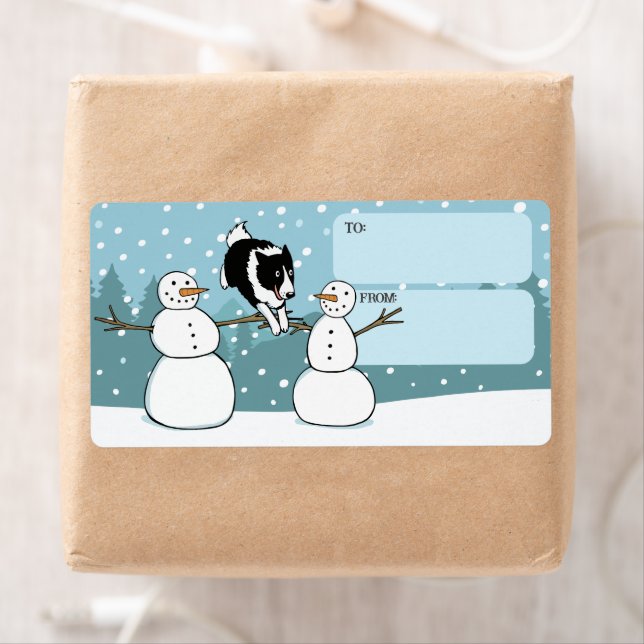 Gräns Collie Winter Agilitet Hund från Fraktsedel (Insitu)