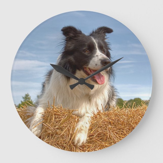 Gräns Collie Working Hund Stor Klocka (Framsida)