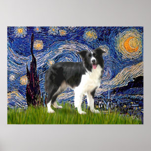 Gräns Collie (Z) - Stjärnnatten Poster