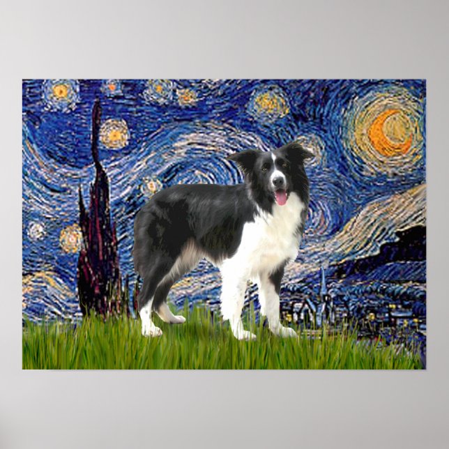 Gräns Collie (Z) - Stjärnnatten Poster (Framsidan)