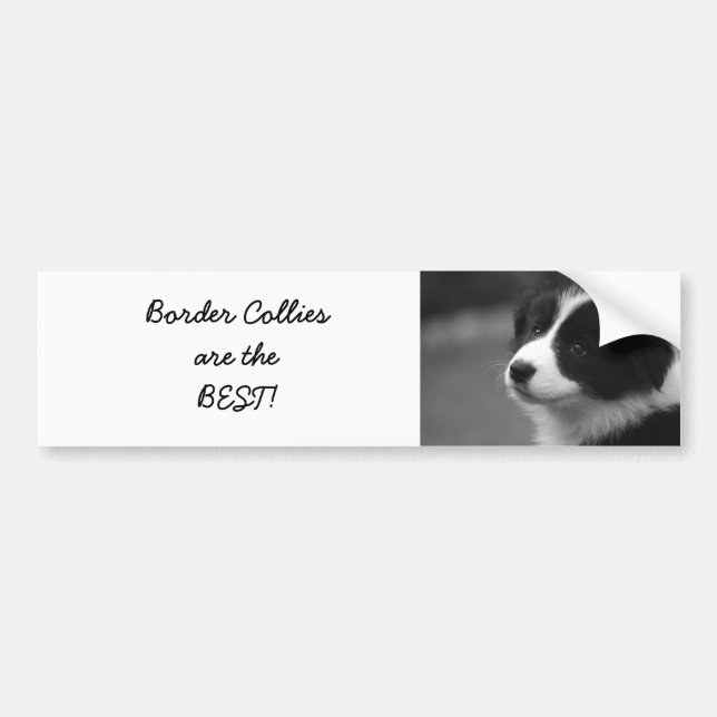 Gräns Collies är BÄSTA! Bildekal (Framsidan)