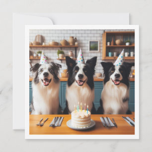 Gräns Collies, Hund födelsedagskort, Hund Inbjudningar