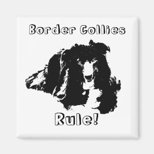 Gräns ColliRule Rolig hund Magnet
