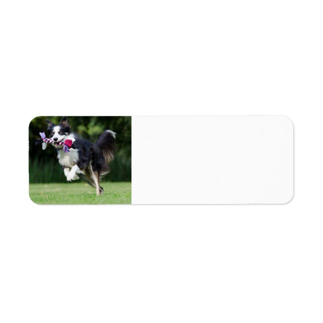 gräns-kollision med leksak returadress etikett (Framsidan)