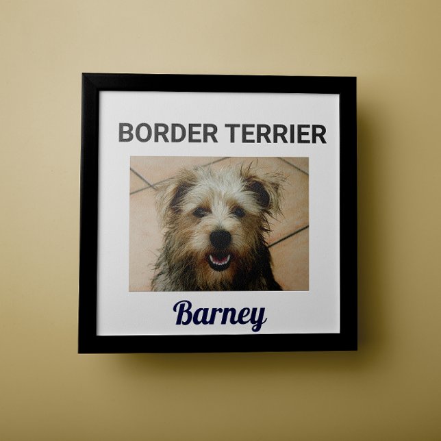 Gräns Terrier Anpassningsbar Hund Poster (Skapare uppladdad)