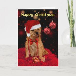 Gräns Terrier Hund i jultomten Hat Lycklig jul Helgkort