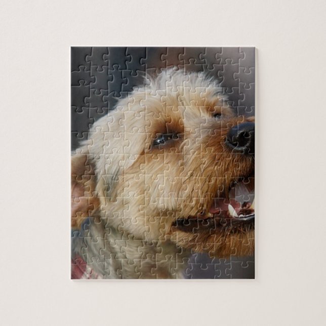 Gräns Terrier Kor Pussel (Vertikal)