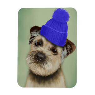 Gräns Terrier med Blue Bobble Hat Magnet