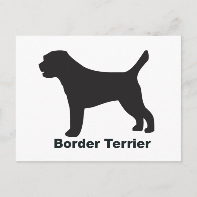Gräns Terrier Vykort (Framsida)