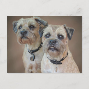 Gräns Terrier-vykort Vykort