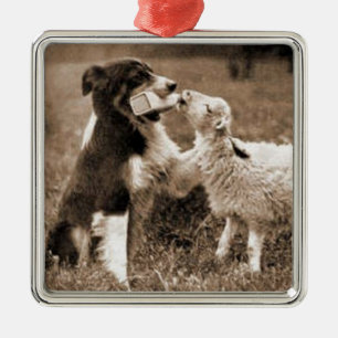 "Gränsa prydnaden för den collie- och Lamb" Julgransprydnad Metall