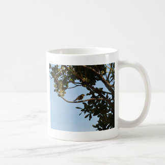 Gransångare Kaffemugg