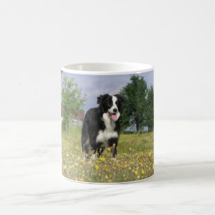 gränscollie full 3.png kaffemugg