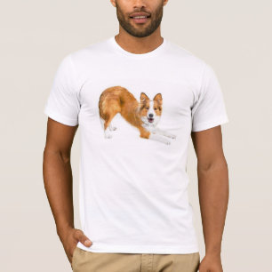 GränsCollie guld- Red~Tee Tee
