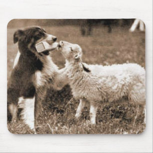 "Gränscollie- och Lamb" ~Mousepad Musmatta